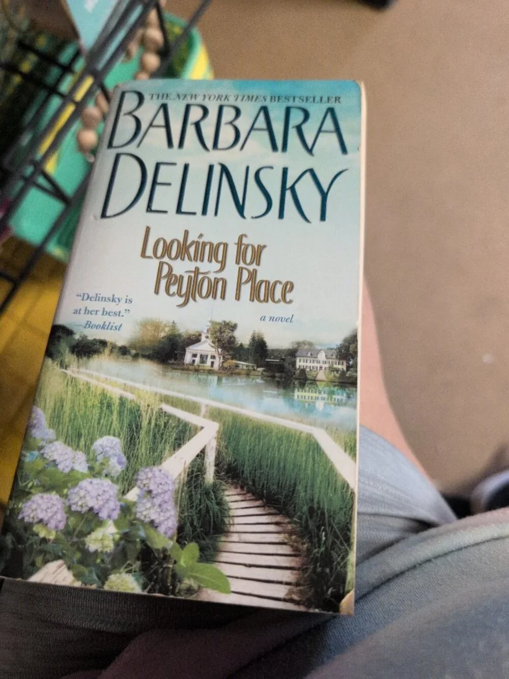 Barbara Delinsky Novel 'Looking for Peyton Place'
